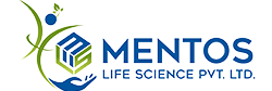 Website Design Company Mumbai